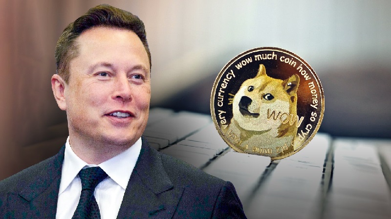 Elon Musk Dogecoin