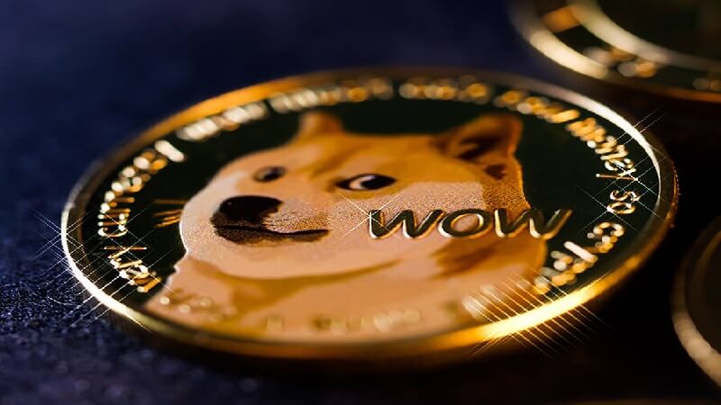 tien dien tu dogecoin 1