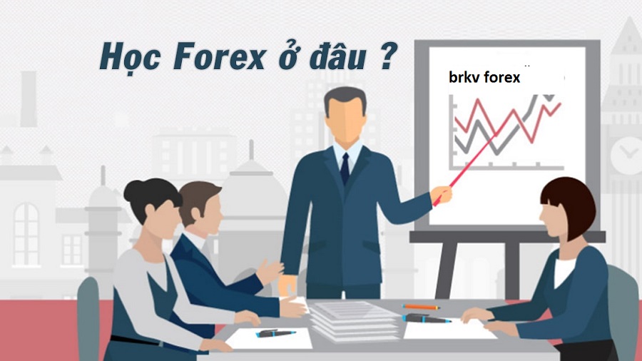 nên chơi forex ở đâu