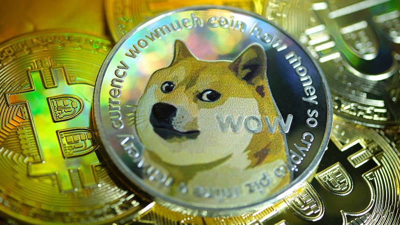 doge coin