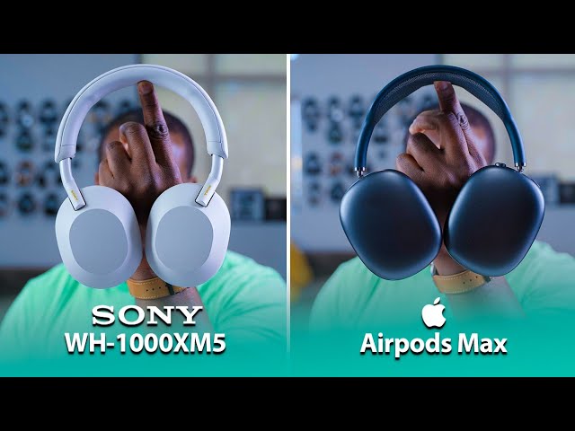 sony xm5 và airpods max