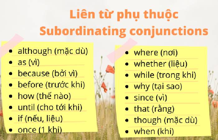 Liên từ phụ thuộc (Subordinating Conjunctions) 