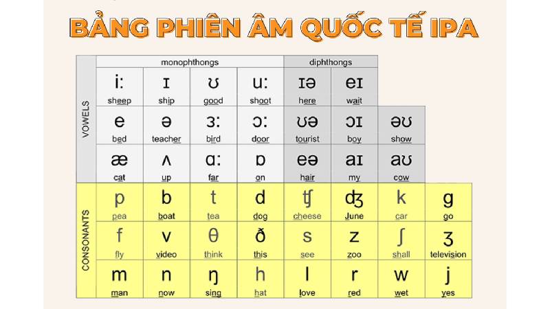 Nắm vững bảng phát âm IPA 