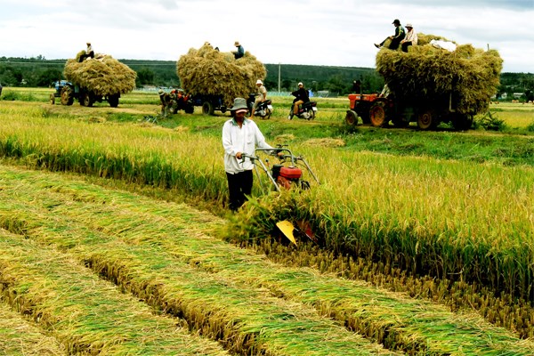 bồi thường thu hồi đất nông nghiệp