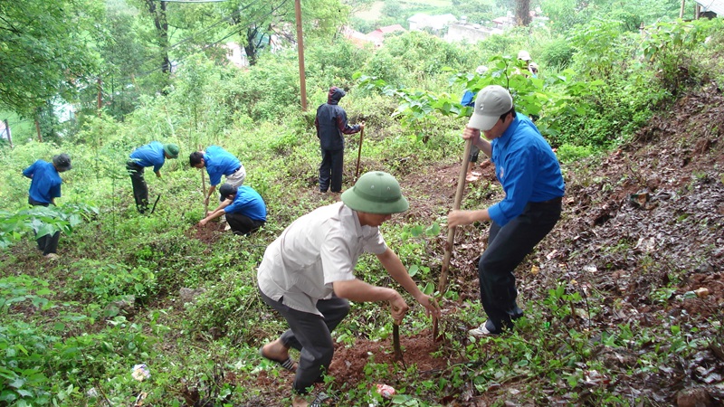 tham quyen thu hoi dat rung phong ho