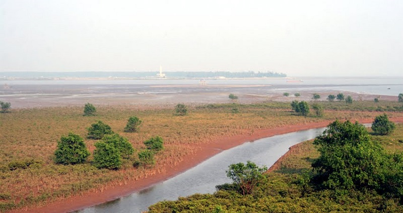 thu hồi đất bãi bồi ven sông