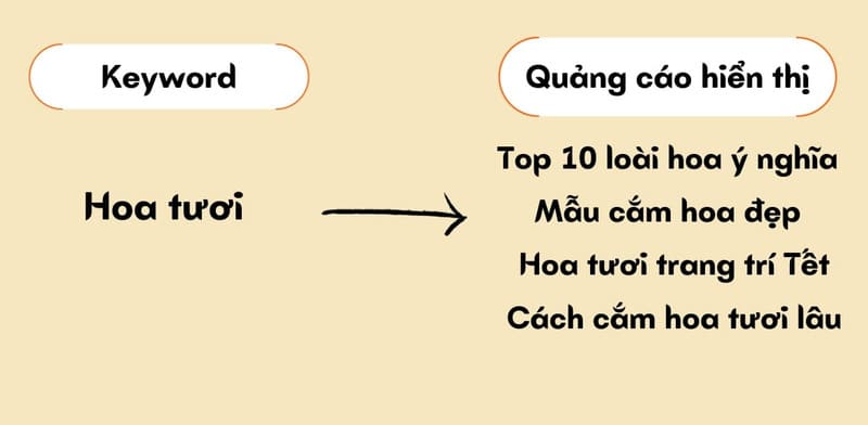 Từ khoá đối sánh rộng