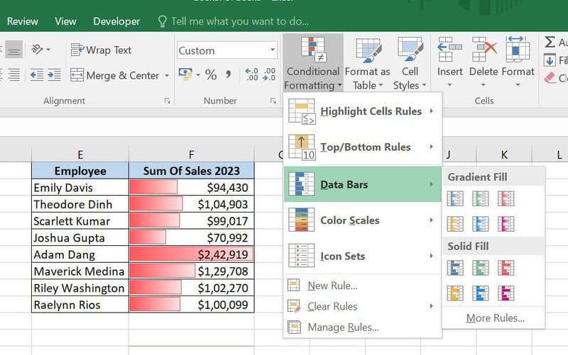 Data Bar