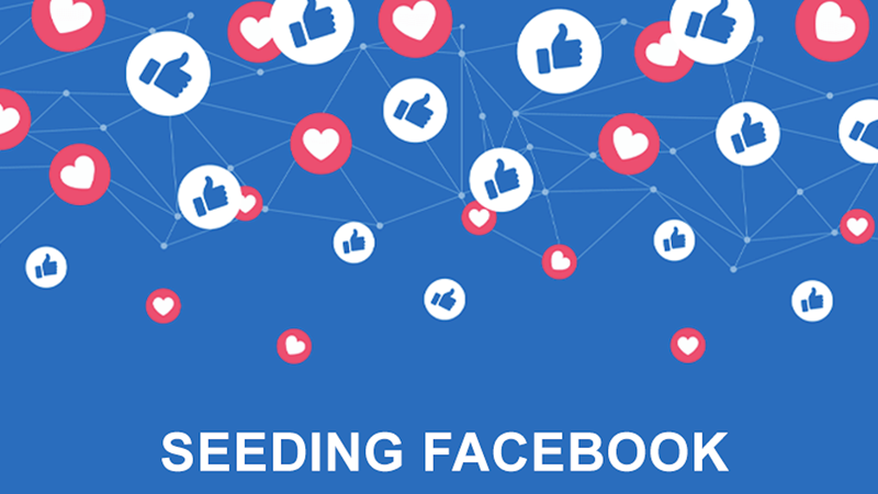 cách seeding trên Facebook