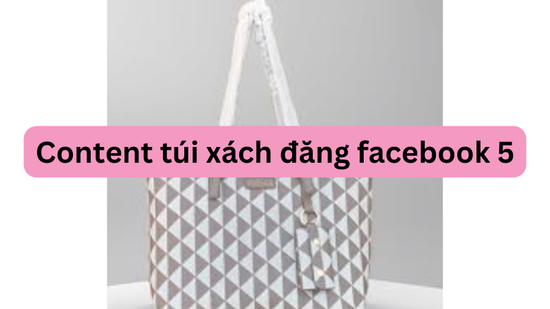 content túi xách đăng facebook