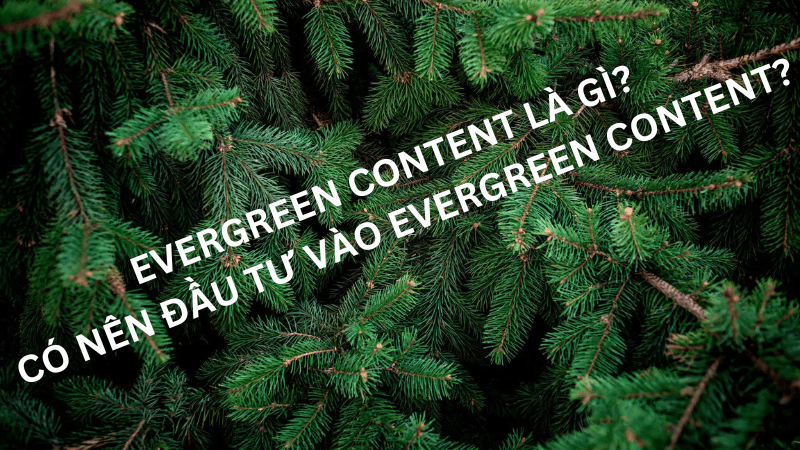 evergreen content là gì và có nên đầu tư